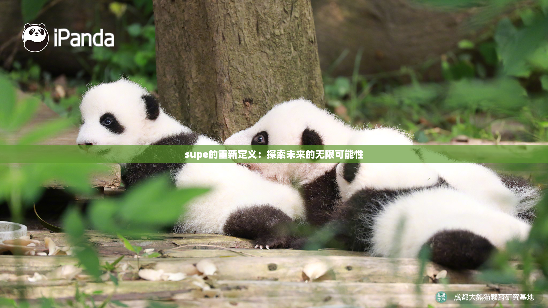 supe的重新定义：探索未来的无限可能性