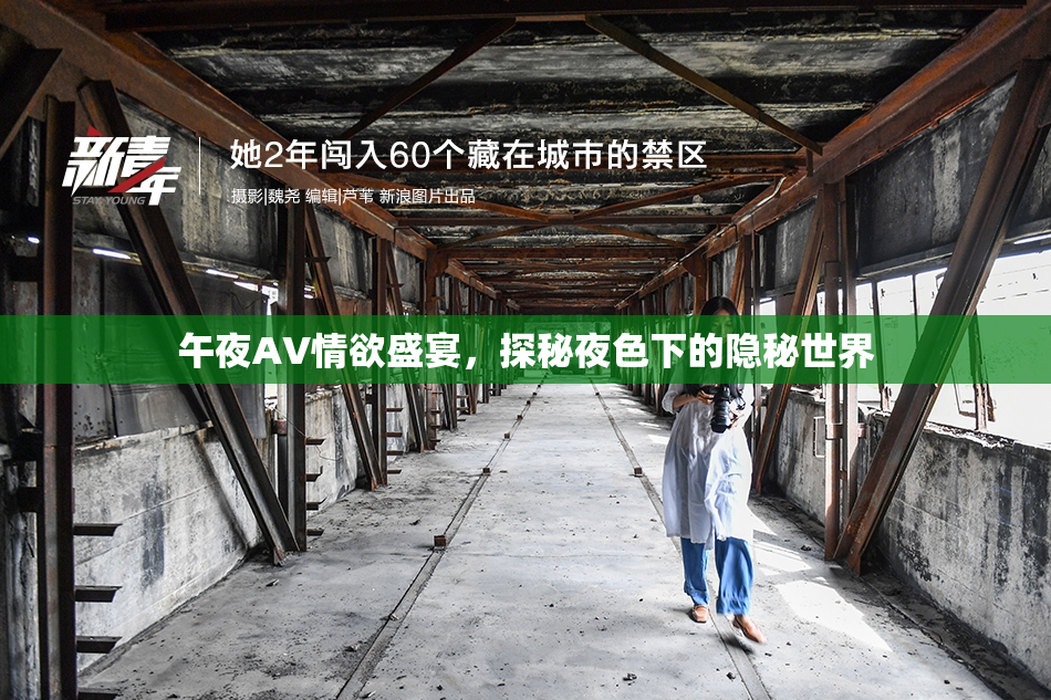 午夜AV情欲盛宴，探秘夜色下的隐秘世界