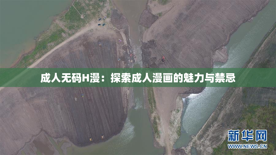 成人无码H漫：探索成人漫画的魅力与禁忌