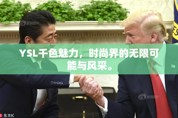 YSL千色魅力，时尚界的无限可能与风采。