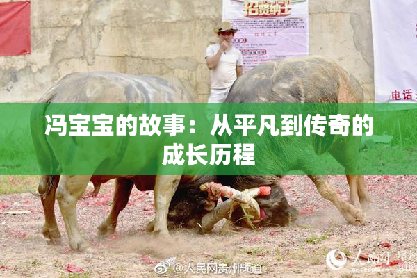 冯宝宝的故事：从平凡到传奇的成长历程