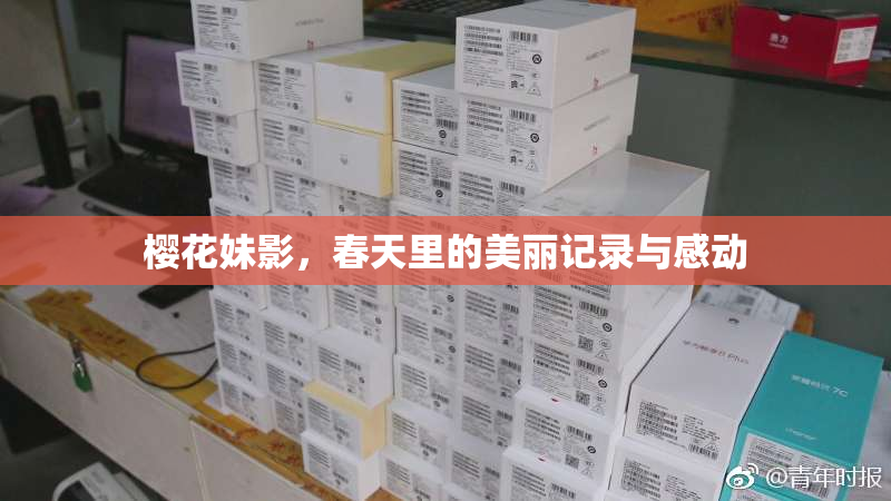 樱花妹影，春天里的美丽记录与感动
