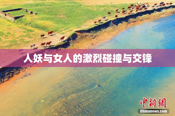 人妖与女人的激烈碰撞与交锋