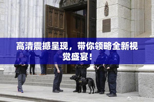 高清震撼呈现，带你领略全新视觉盛宴！