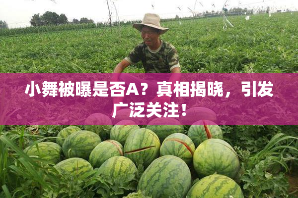小舞被曝是否A？真相揭晓，引发广泛关注！