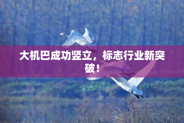 大机巴成功竖立，标志行业新突破！