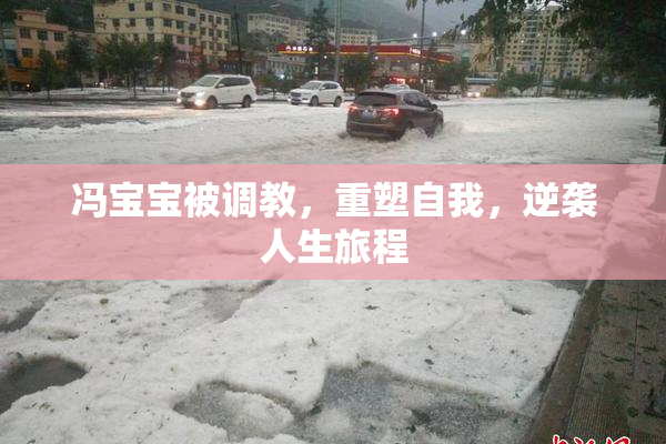 冯宝宝被调教，重塑自我，逆袭人生旅程