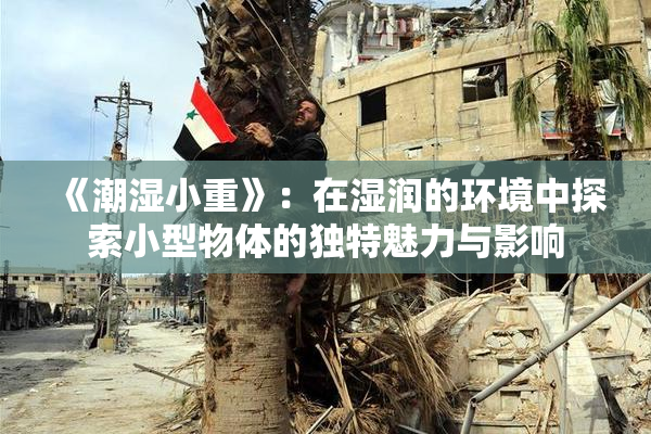 《潮湿小重》：在湿润的环境中探索小型物体的独特魅力与影响