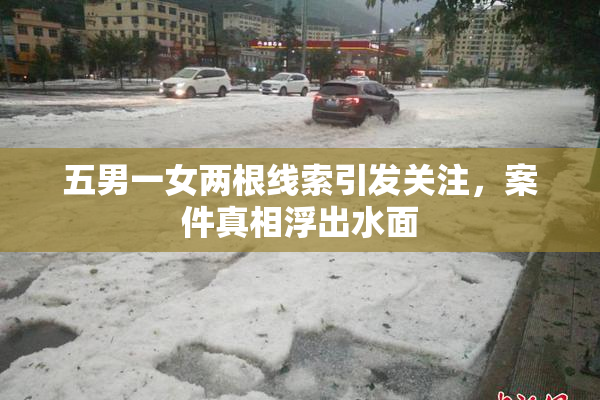 五男一女两根线索引发关注，案件真相浮出水面