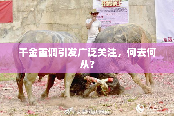 千金重调引发广泛关注，何去何从？