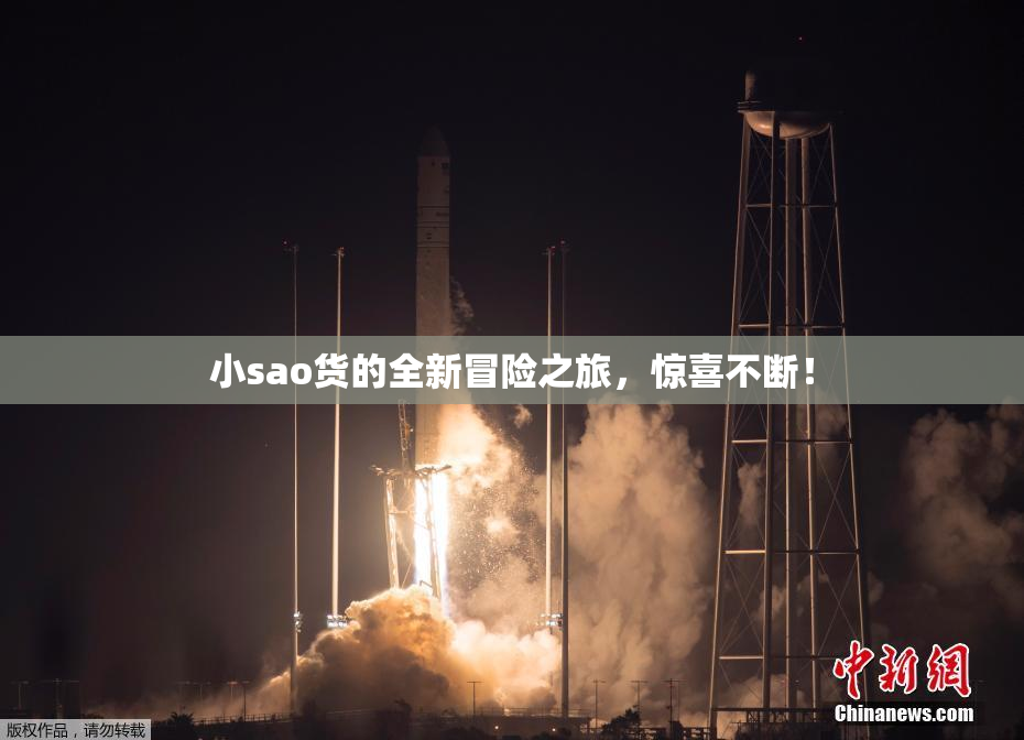 小sao货的全新冒险之旅，惊喜不断！