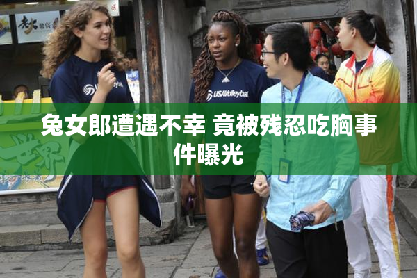 兔女郎遭遇不幸 竟被残忍吃胸事件曝光