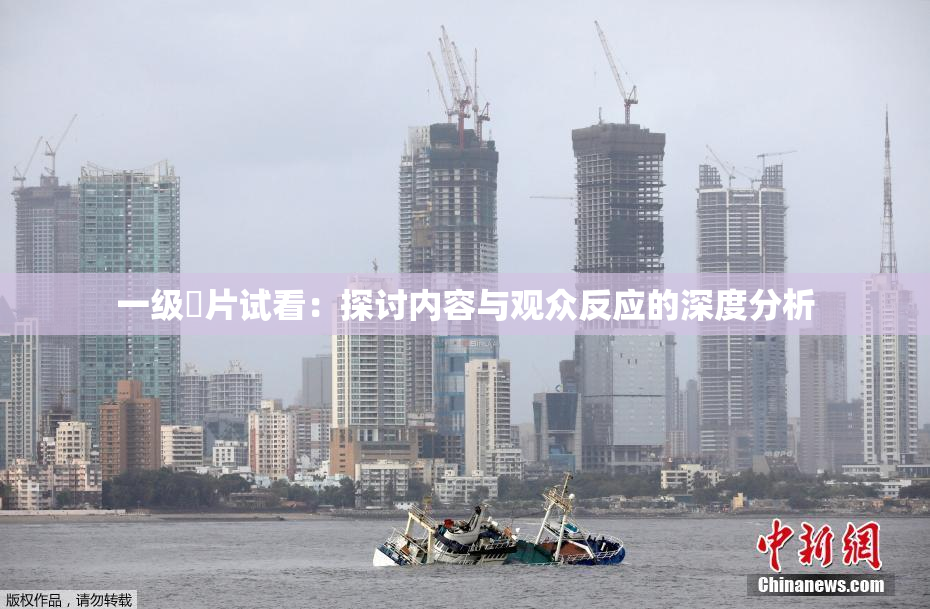 一级婬片试看：探讨内容与观众反应的深度分析