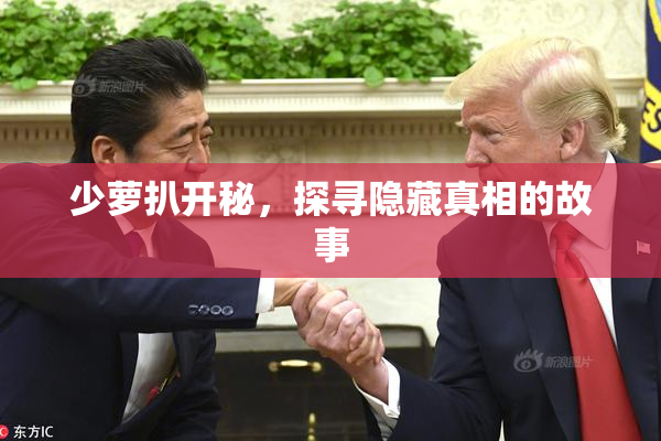 少萝扒开秘，探寻隐藏真相的故事
