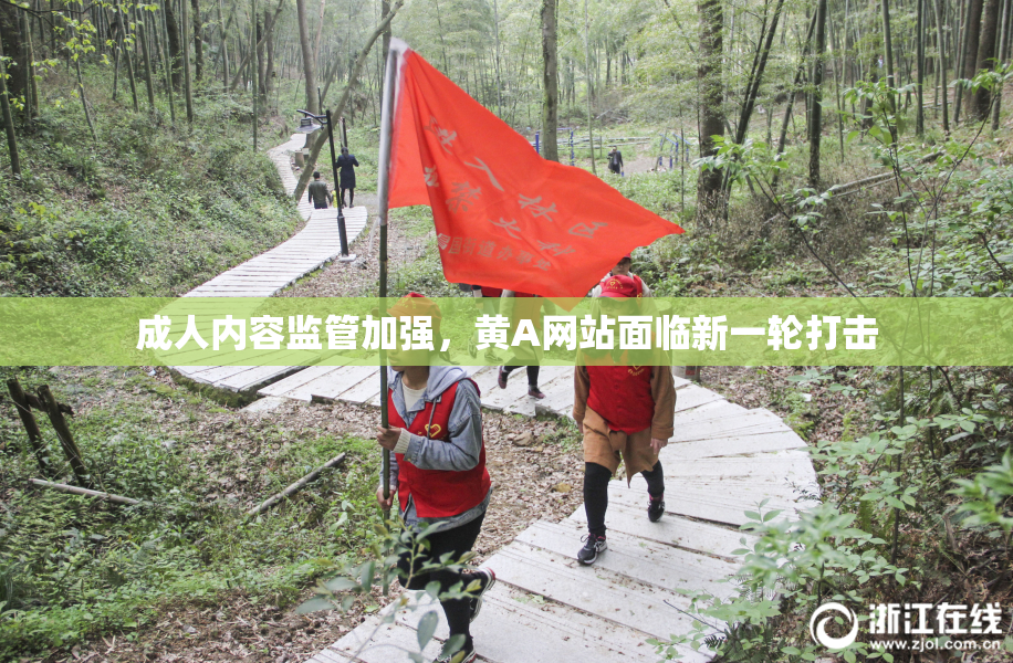 成人内容监管加强，黄A网站面临新一轮打击