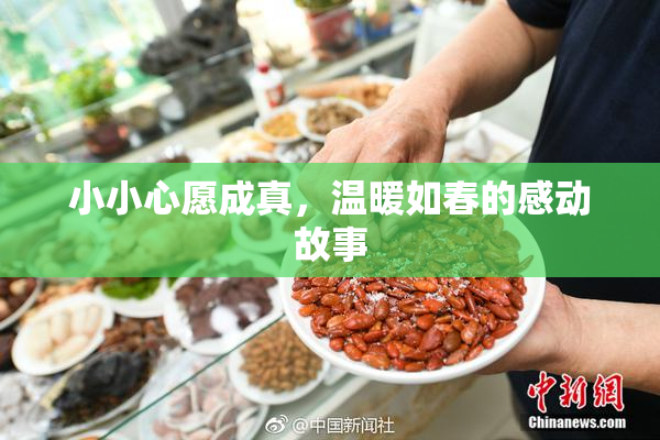 小小心愿成真，温暖如春的感动故事