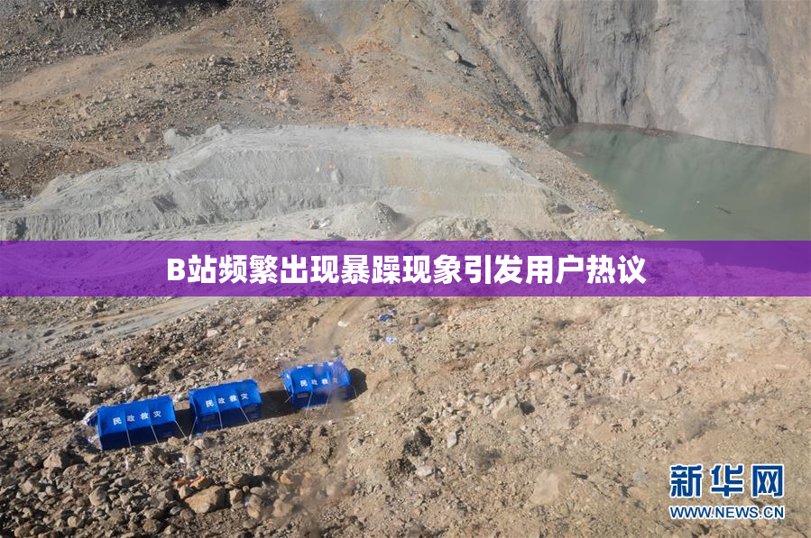 B站频繁出现暴躁现象引发用户热议