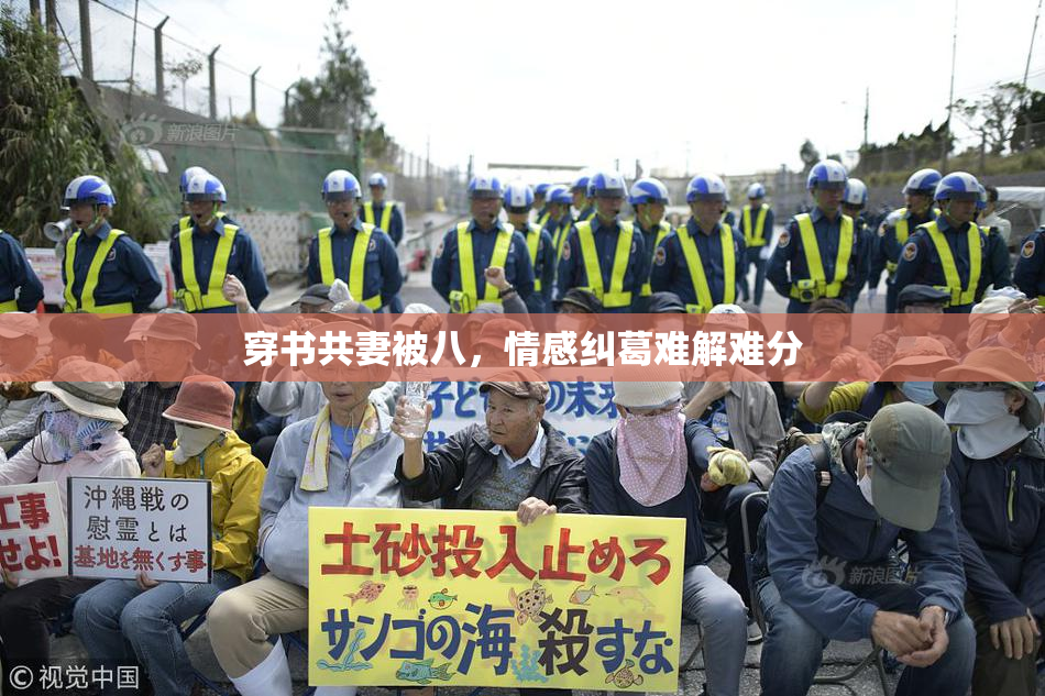 穿书共妻被八，情感纠葛难解难分