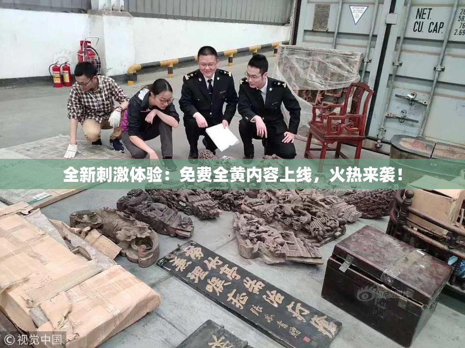 全新刺激体验：免费全黄内容上线，火热来袭！