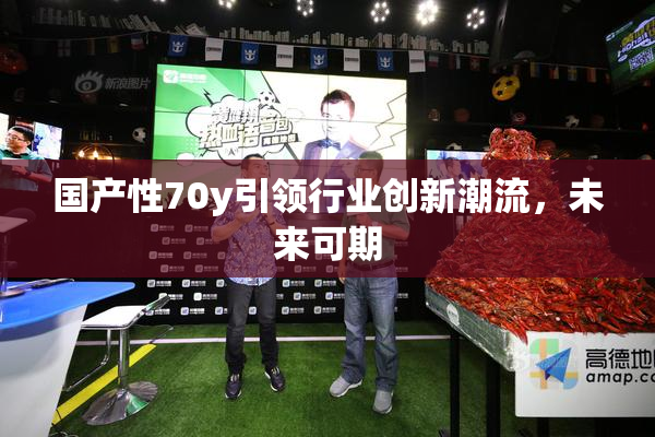国产性70y引领行业创新潮流，未来可期