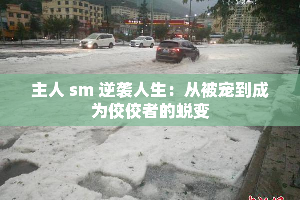 主人 sm 逆袭人生：从被宠到成为佼佼者的蜕变
