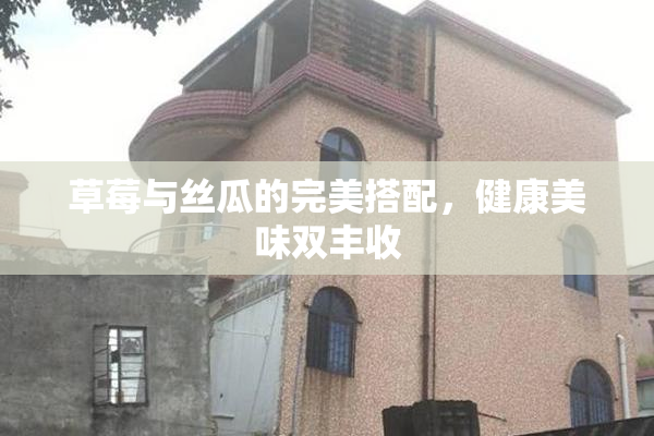 草莓与丝瓜的完美搭配，健康美味双丰收