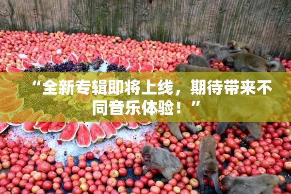 “全新专辑即将上线，期待带来不同音乐体验！”