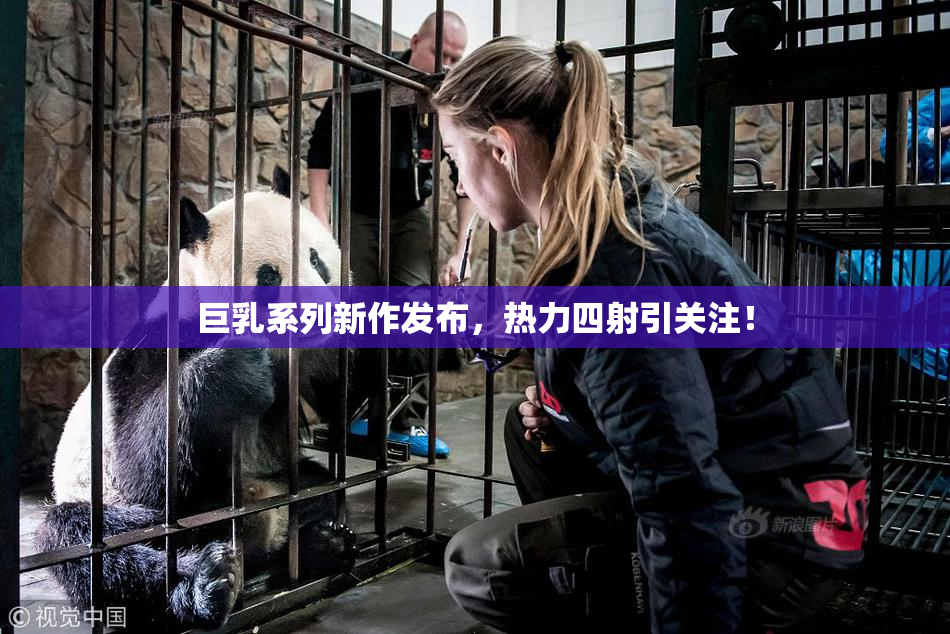 巨乳系列新作发布，热力四射引关注！