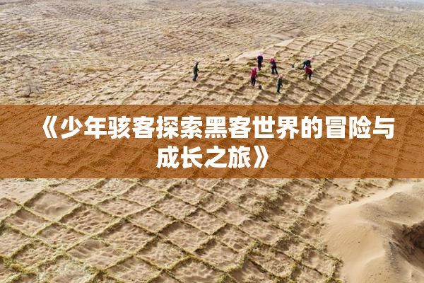 《少年骇客探索黑客世界的冒险与成长之旅》