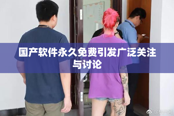 国产软件永久免费引发广泛关注与讨论