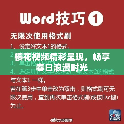 樱花视频精彩呈现，畅享春日浪漫时光