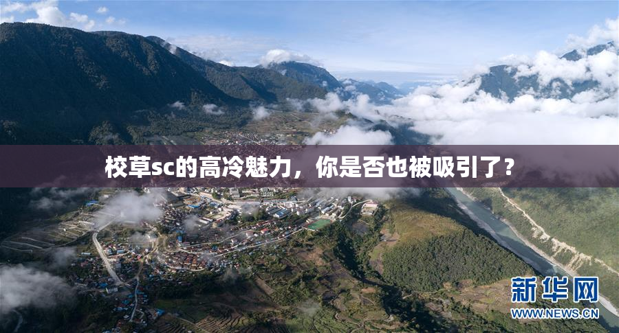 校草sc的高冷魅力，你是否也被吸引了？