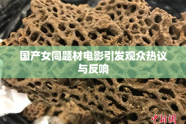 国产女同题材电影引发观众热议与反响