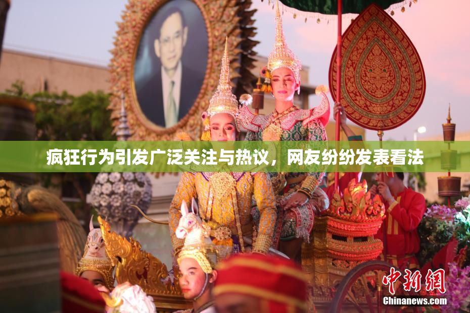 疯狂行为引发广泛关注与热议，网友纷纷发表看法