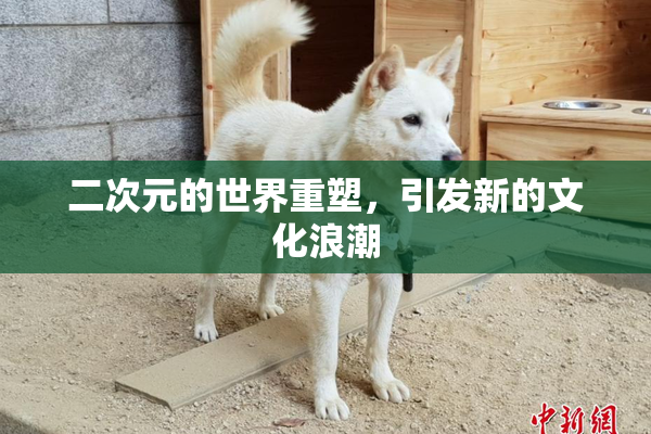 二次元的世界重塑，引发新的文化浪潮