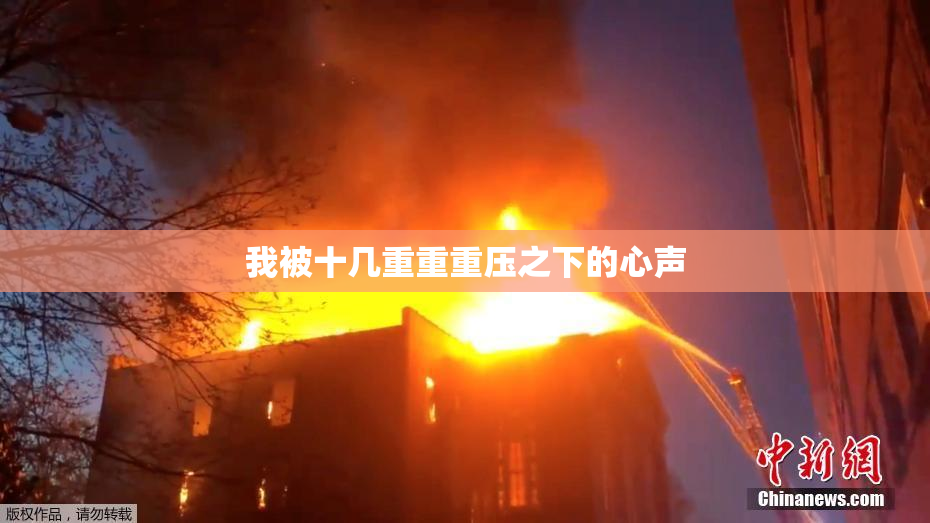我被十几重重重压之下的心声