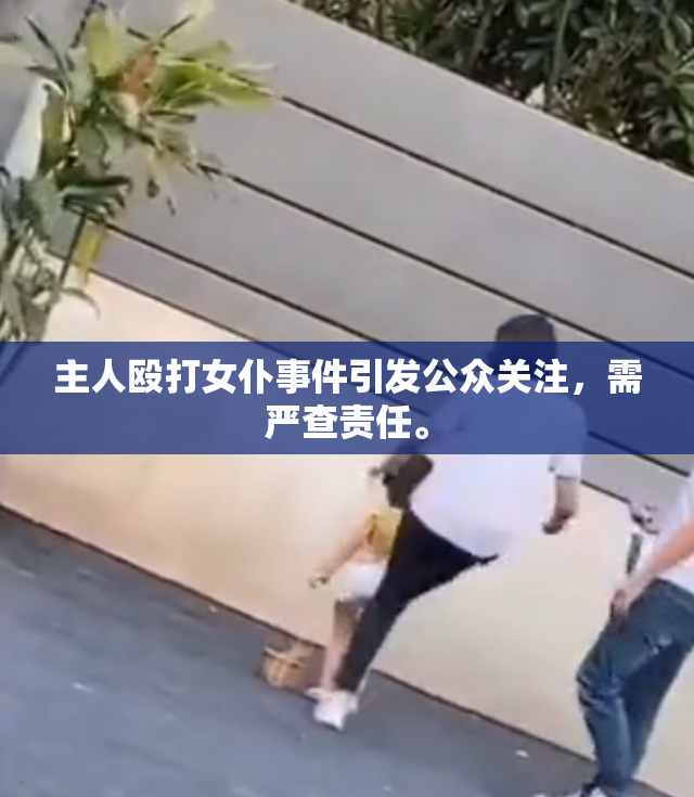 主人殴打女仆事件引发公众关注，需严查责任。
