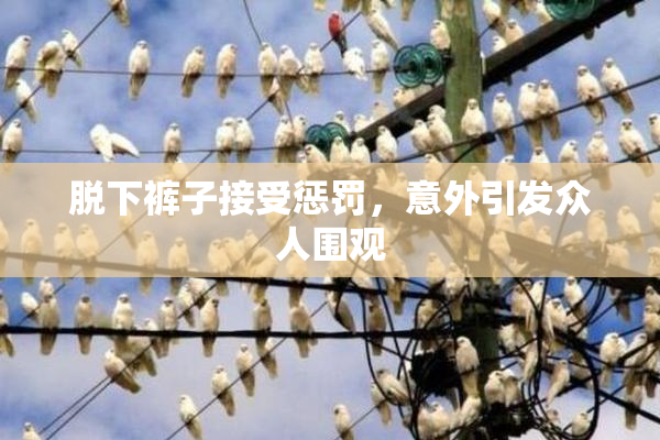 脱下裤子接受惩罚，意外引发众人围观