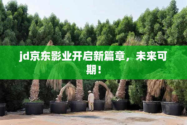 jd京东影业开启新篇章，未来可期！
