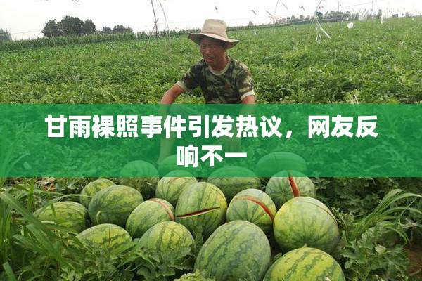 甘雨裸照事件引发热议，网友反响不一
