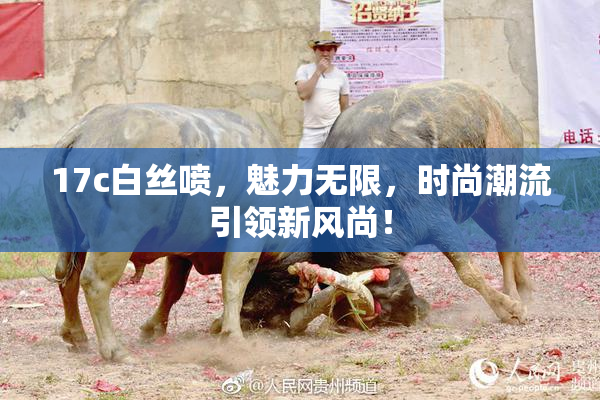 17c白丝喷，魅力无限，时尚潮流引领新风尚！