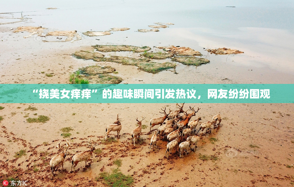 “挠美女痒痒”的趣味瞬间引发热议，网友纷纷围观