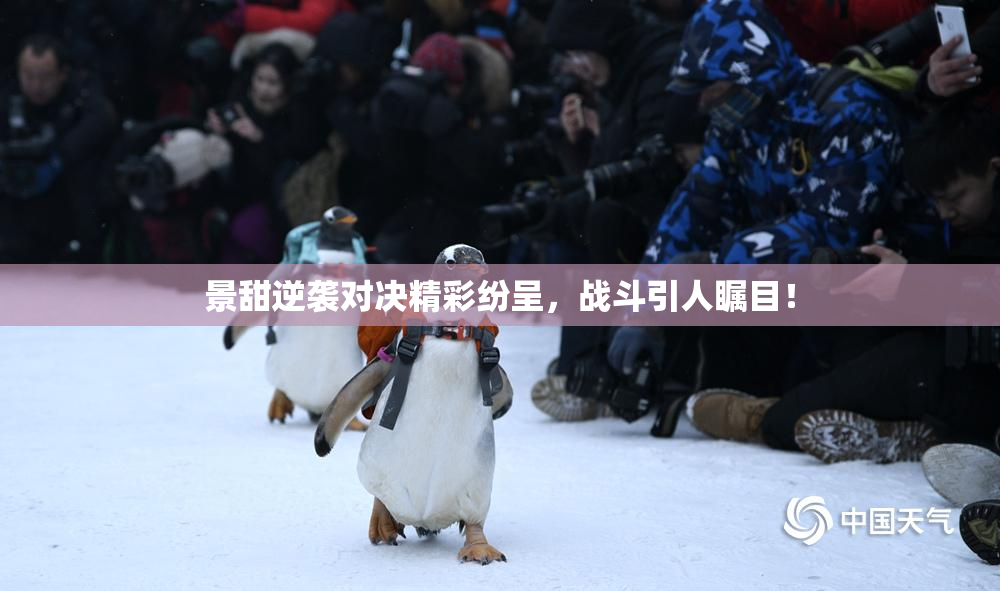 景甜逆袭对决精彩纷呈，战斗引人瞩目！