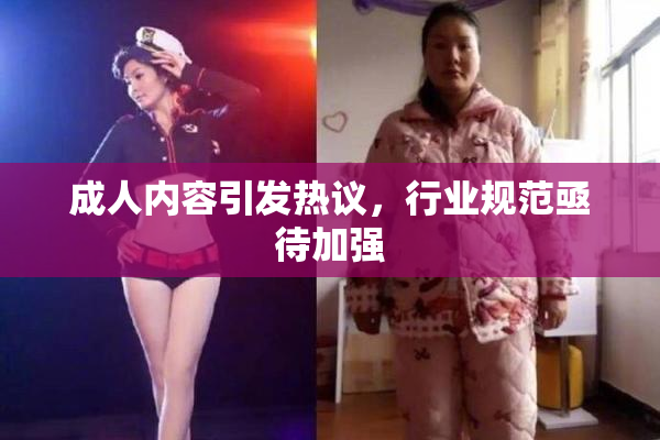 成人内容引发热议，行业规范亟待加强