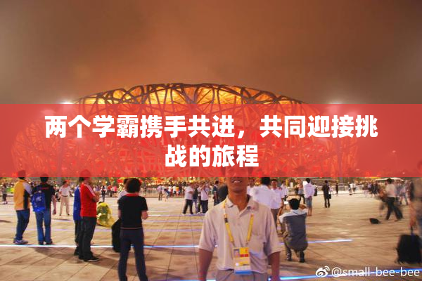 两个学霸携手共进，共同迎接挑战的旅程