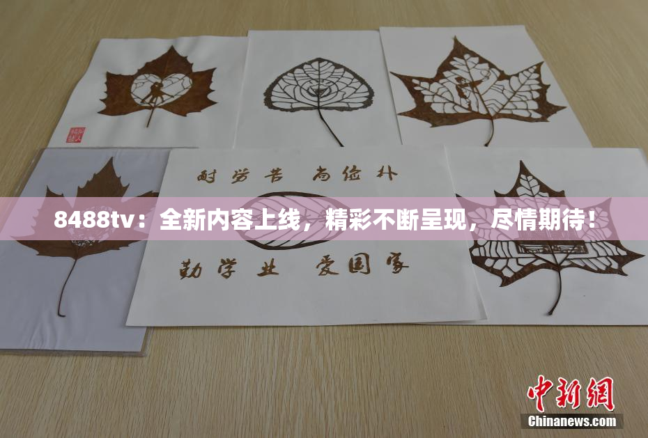 8488tv：全新内容上线，精彩不断呈现，尽情期待！