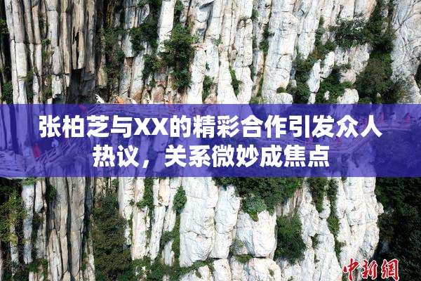 张柏芝与XX的精彩合作引发众人热议，关系微妙成焦点