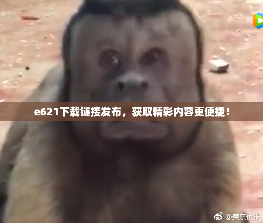 e621下载链接发布，获取精彩内容更便捷！