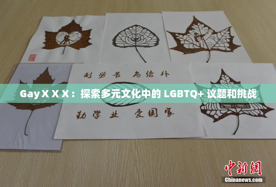 GayⅩⅩⅩ：探索多元文化中的 LGBTQ+ 议题和挑战