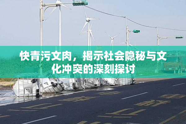 快青污文肉，揭示社会隐秘与文化冲突的深刻探讨